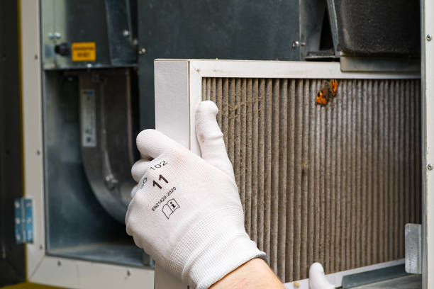 Best Affordable Duct Cleaning Services  in Sardis, MS