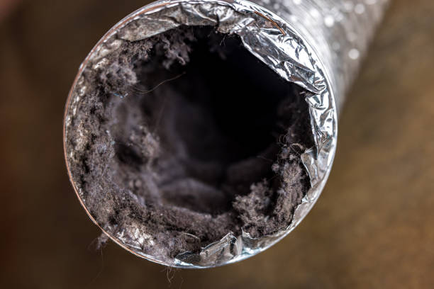 Best Air Duct Cleaning Near Me in Sardis, MS